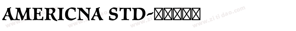 Americna std字体转换
